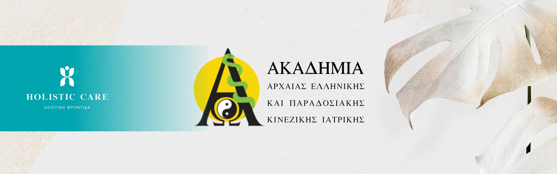 Academy header image